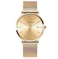 Reloj Hannah Martin Hombre Acero Dorado HAN-39