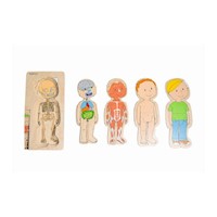 Rompecabezas del Cuerpo Humano Didáctico
