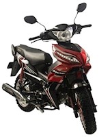 MOTO RONCO RC 110C ROJO