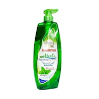 Shampoo Extracto de Menta Nevada-1.2 LTA