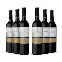 Sixpack Vino tinto Altocedro La Consulta blend, Argentina