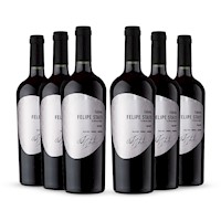Sixpack Vino tinto Felipe Staiti Euforia malbec. Argentina