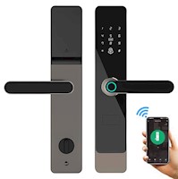Cerradura Inteligente Smart Chapa Biométrica Wifi Lda1 Negro