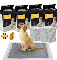 Training Pads Con Carbón Activado - 4 Paquetes
