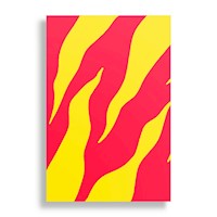 Cuadro Decorativo Aluminio 20x30 - Candycat