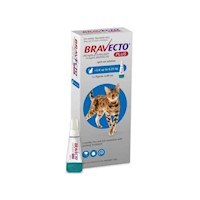 Pipeta Antipulgas para Gato Bravecto Plus 250mg 2.9 a 6.25kg