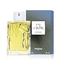 Perfume Eau D Ikar Pour Homme Sisley 100ml