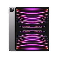 IPAD PRO 12.9" 6TA GEN (256GB) WIFI - SPACE GRAY