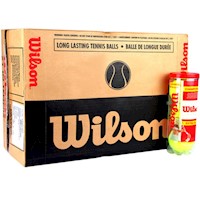 Wilson - Caja De 24 Tubos de Pelotas de Tenis - Championship - Ext Duty (72 u.)