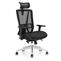 Silla de Oficina Premium Ergonómica Evox X3 - Negro