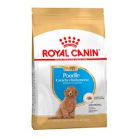Comida para Cachorros Royal Canin BHN Raza Poodle 3kg
