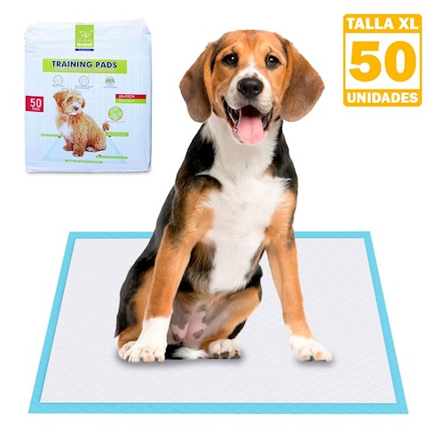 Toallitas Higiene para Perro y Gato, Aloe Vera, 40 uds - B2B - Grupo Trixder