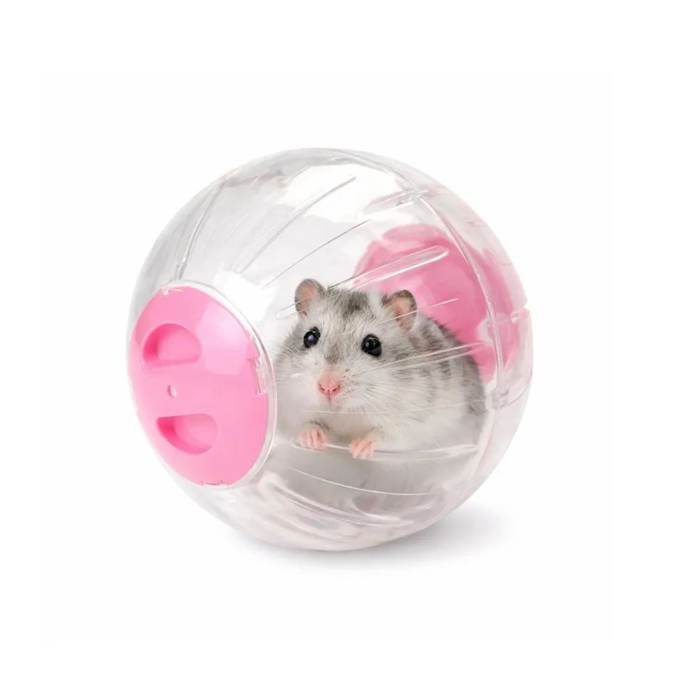 Esfera Bola De Ejercicio Para Hamster De 16cm rosado – Diversión Segura Y Activa