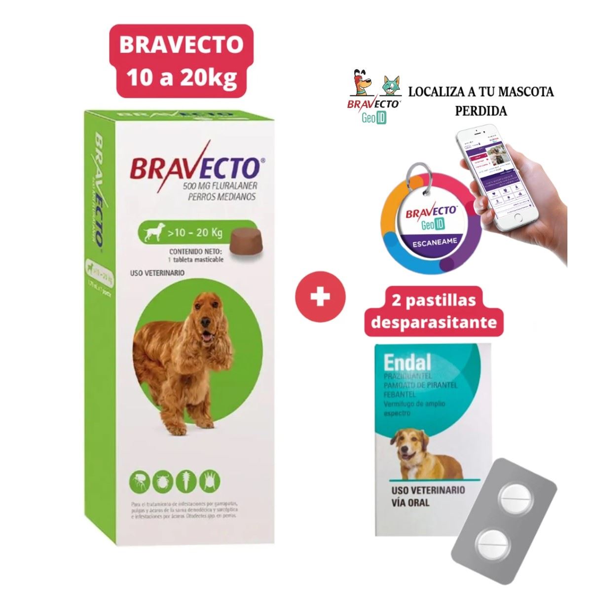 Antipulgas Bravecto para perros de 10 - 20 kg + Geolocalizador para Mascota