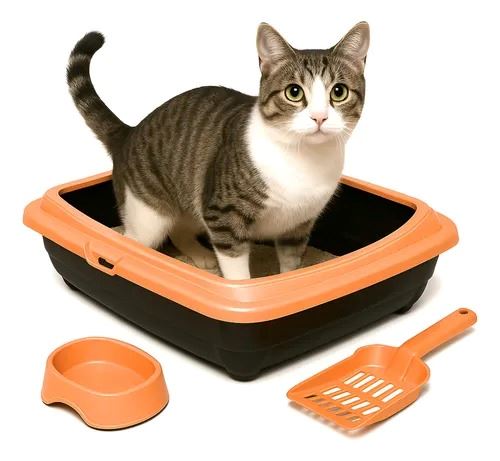 ARENERO KIT PARA GATOS