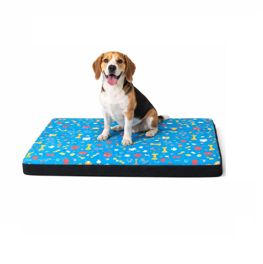 Cama colchoneta básica de verano para perro y celeste color negro talla 3
