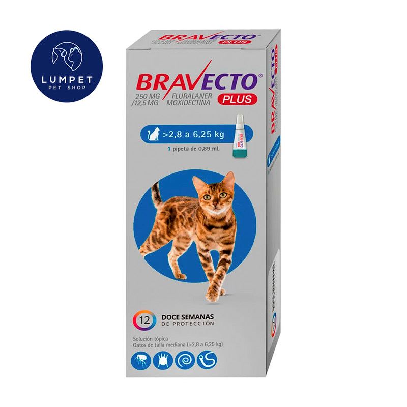 Bravecto Plus Gato 2,8 - 6,25 kg