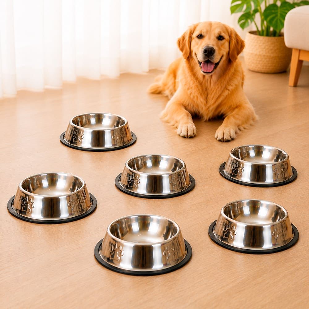 Pack 6 Platos Grandes Para Perro 26cm - Comedero Mascotas