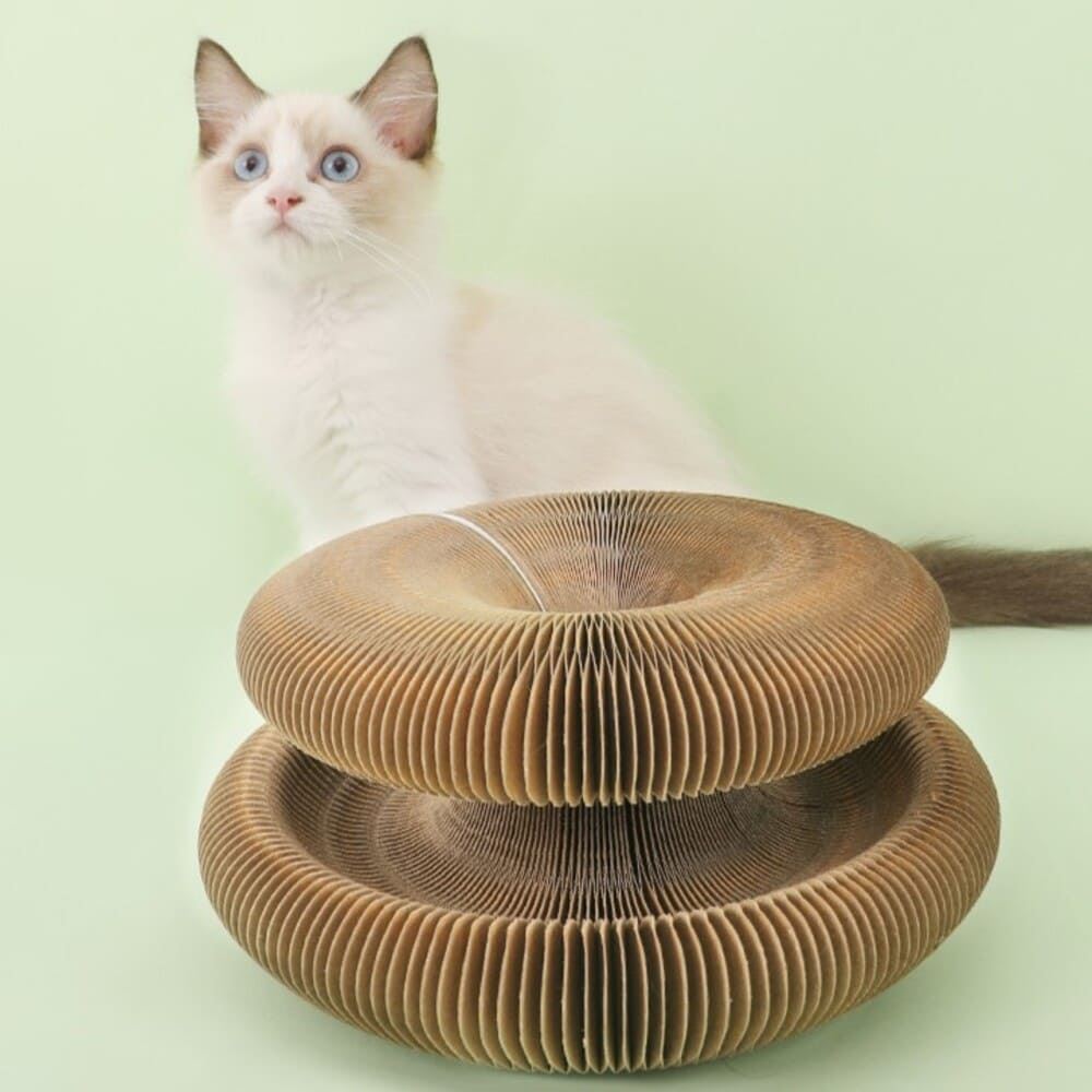 JUGUETE EDUCATIVO ANTIESTRESANTE ACORDEÓN PARA GATOS DE CARTÓN