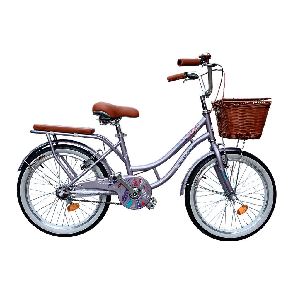 Bicicleta Box Vintage Aro 20 - Lila