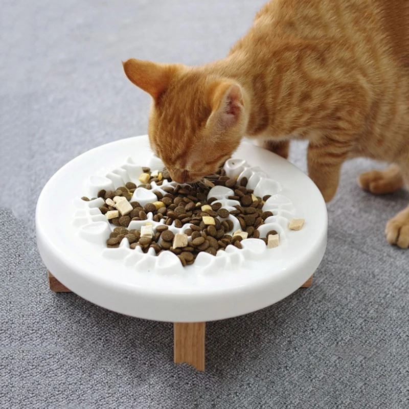 PLATO ANTIESTRÉS CERÁMICA MASCOTAS