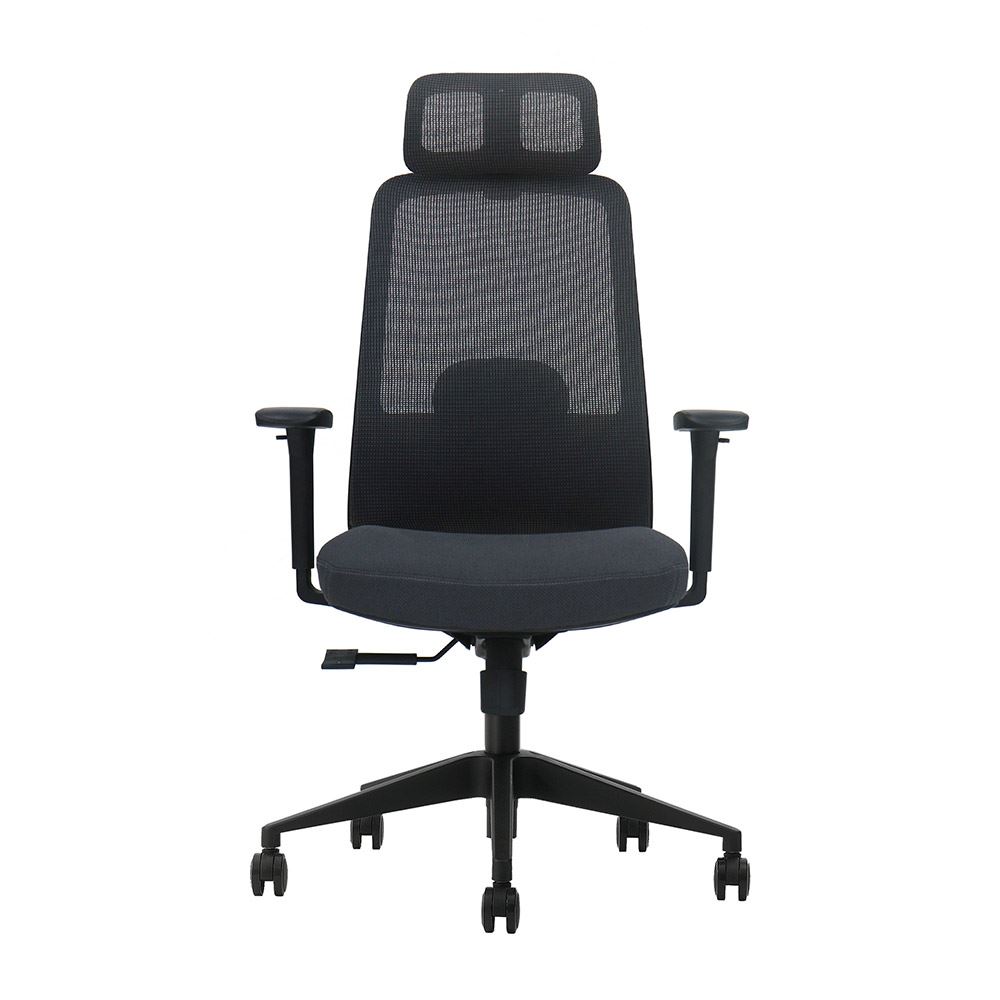 Silla de Oficina Profesional Ergonómica Evox Ultimate C21
