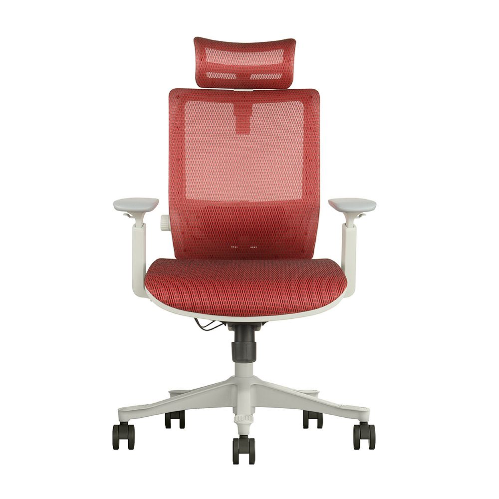 Silla de Oficina Ergonómica Profesional Evox Ultimate C23