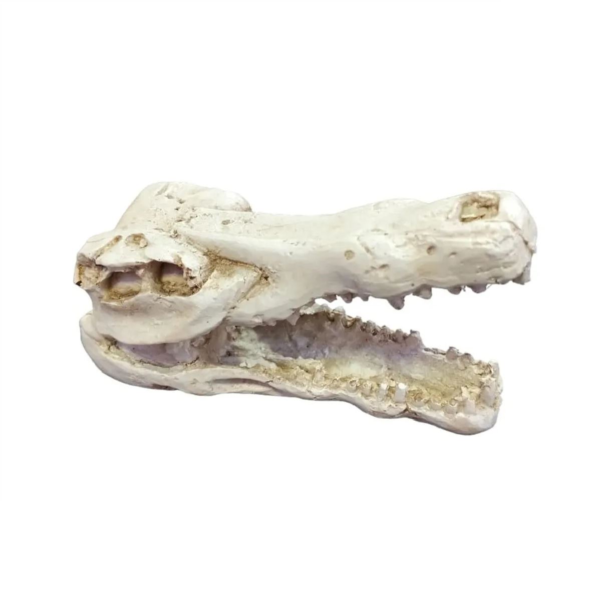 Adorno decorativo para peceras y acuarios en resina cocodrilo blanco