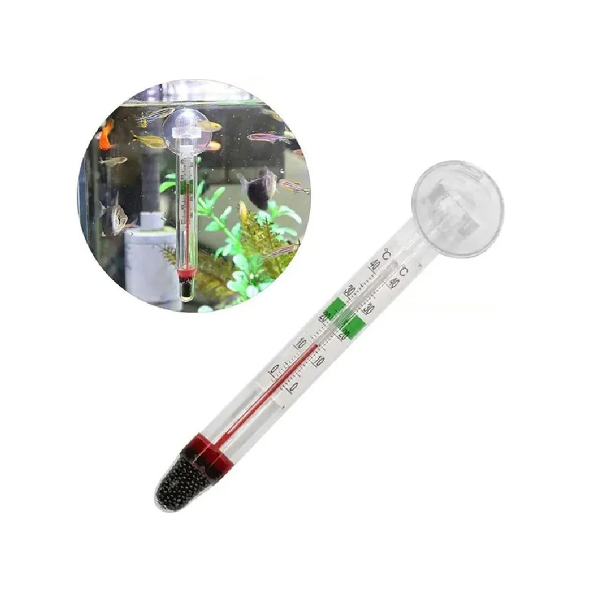 Termómetro de vidrio chico sumergible para peceras yo acuarios