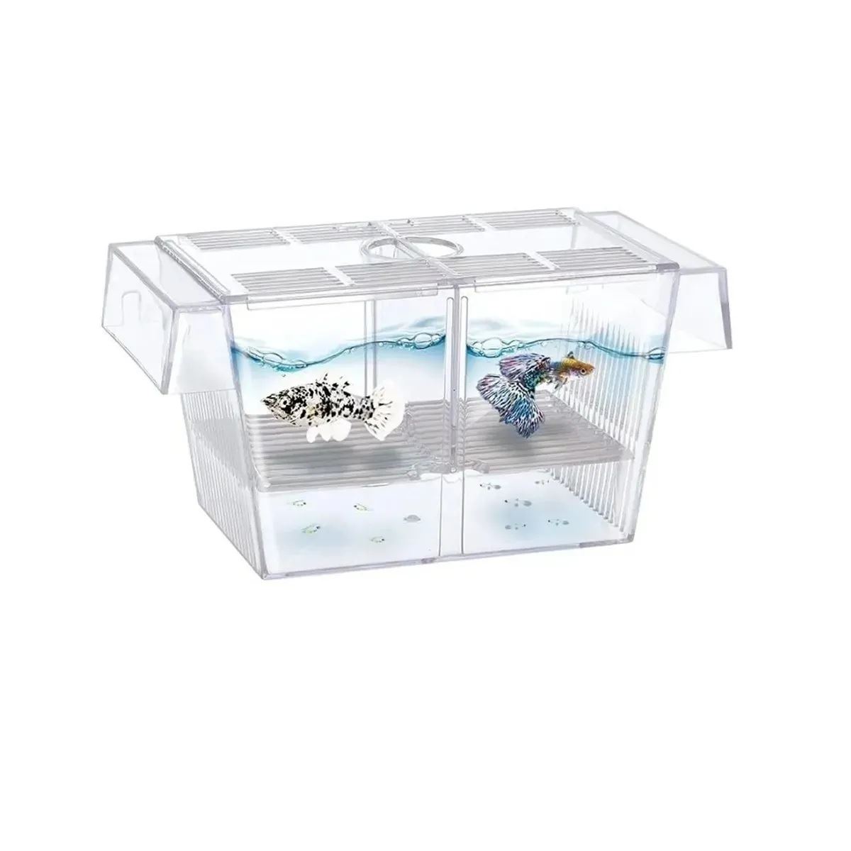 Paridera de acrílica grande para peces