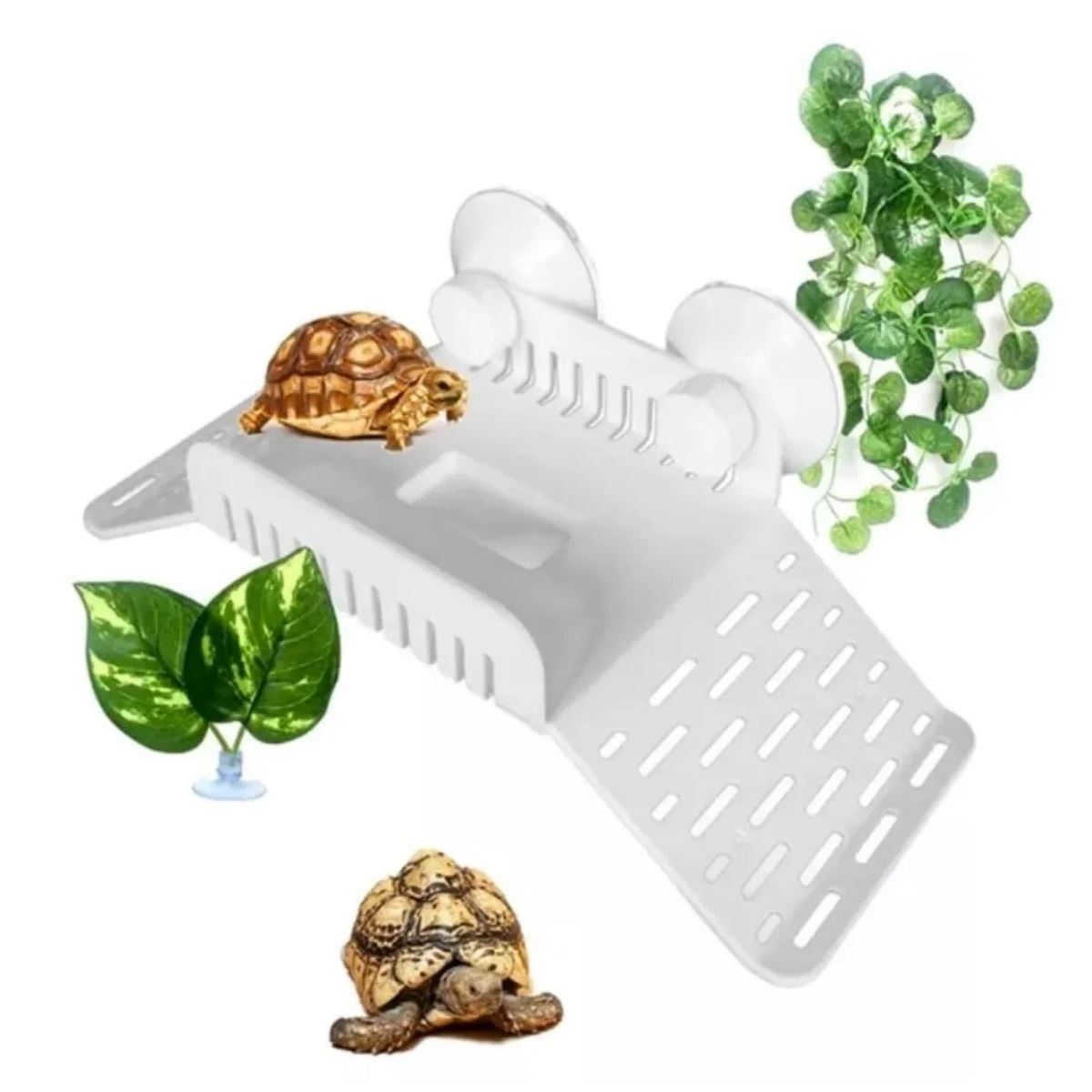 Plataforma con rampa para tortugas semi acuática