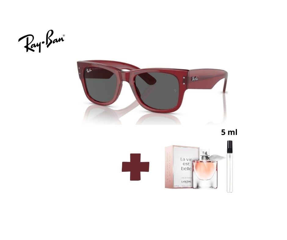 PACK DUO Lentes de sol RayBan Mega Wayfarer RB0840 +  Decants Perfume La Vie Est Belle Lancôme EDP 5ml