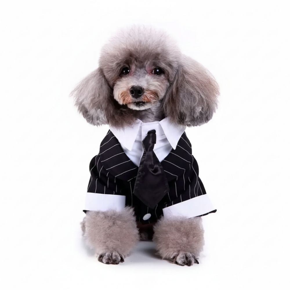 Disfraz Traje para Boda Perro Talla M
