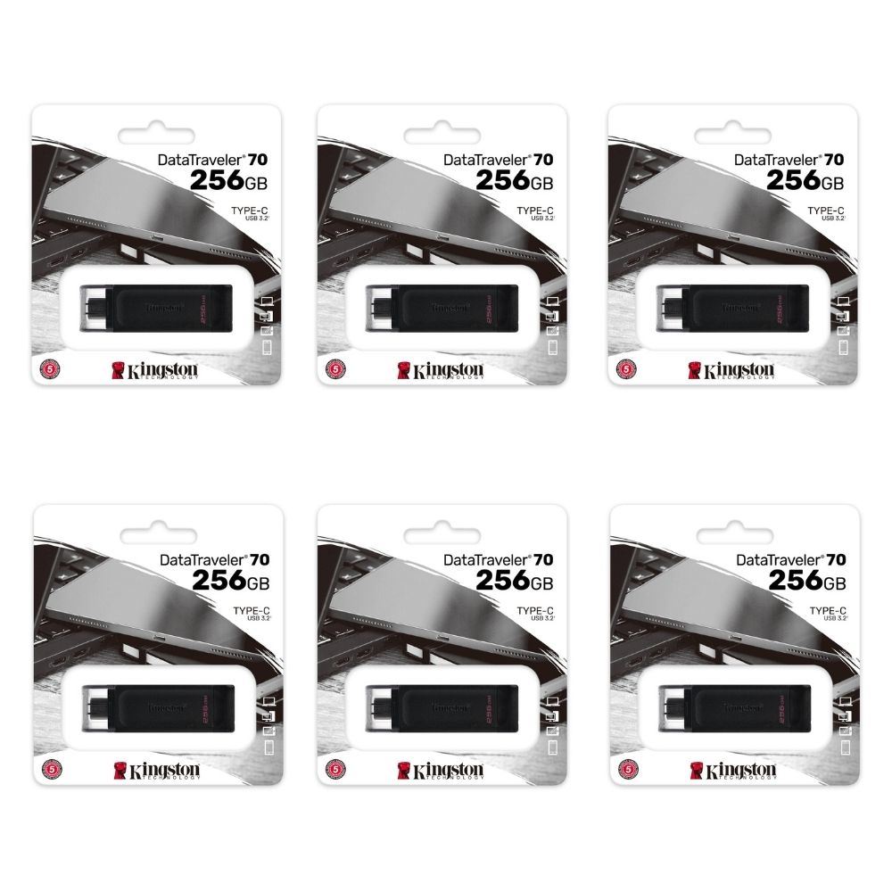 MEMORIA USB TIPO C KINGSTON 256GB KIT DE 6 UNIDADES