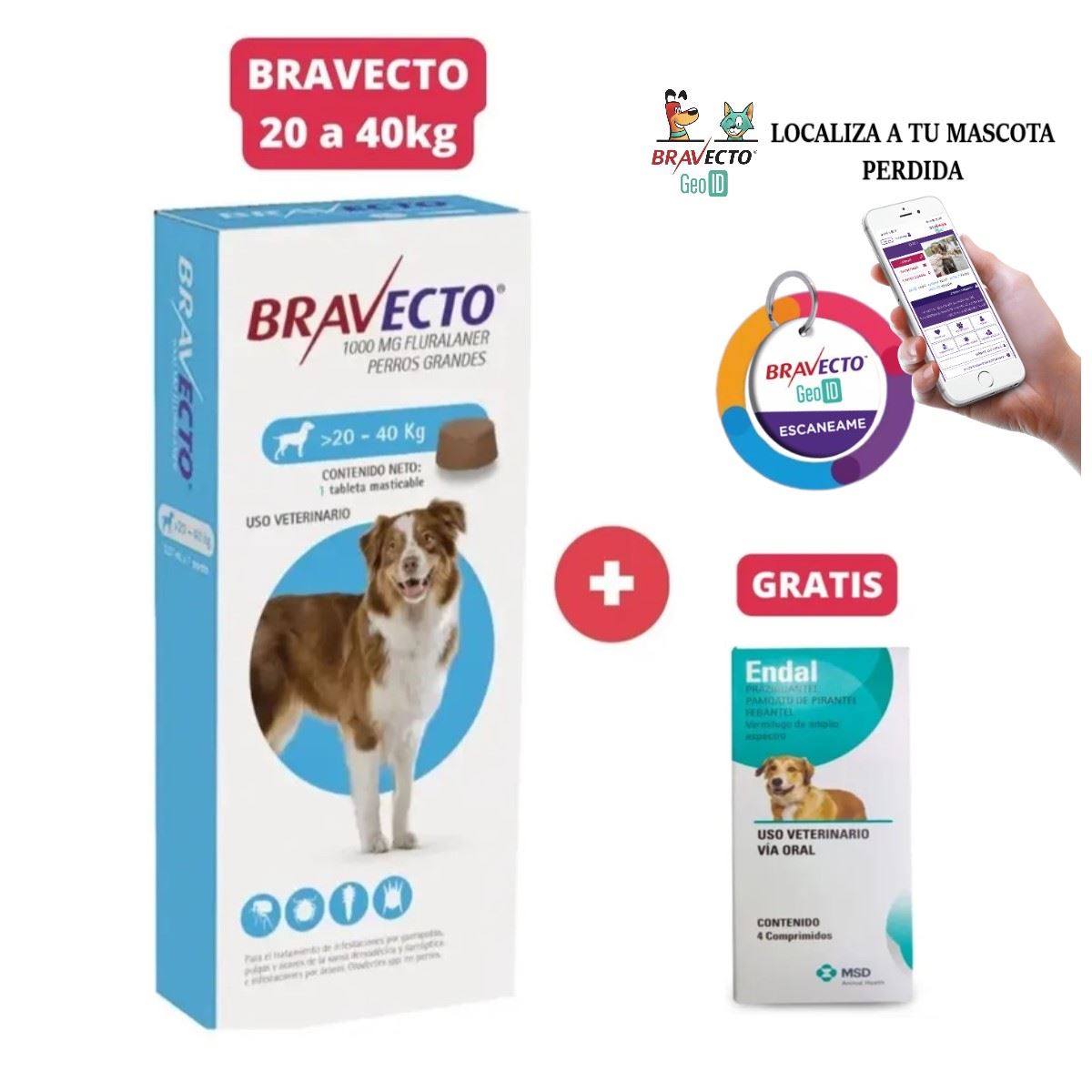 Antipulgas Bravecto para perros de 20 - 40 kg + Geolocalizador para Mascota