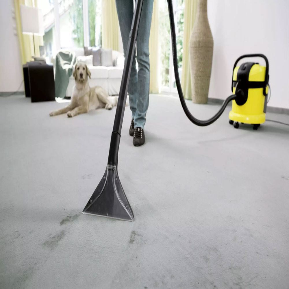 Karcher Lava Alfombras y Tapices SE 4001 | Juntoz