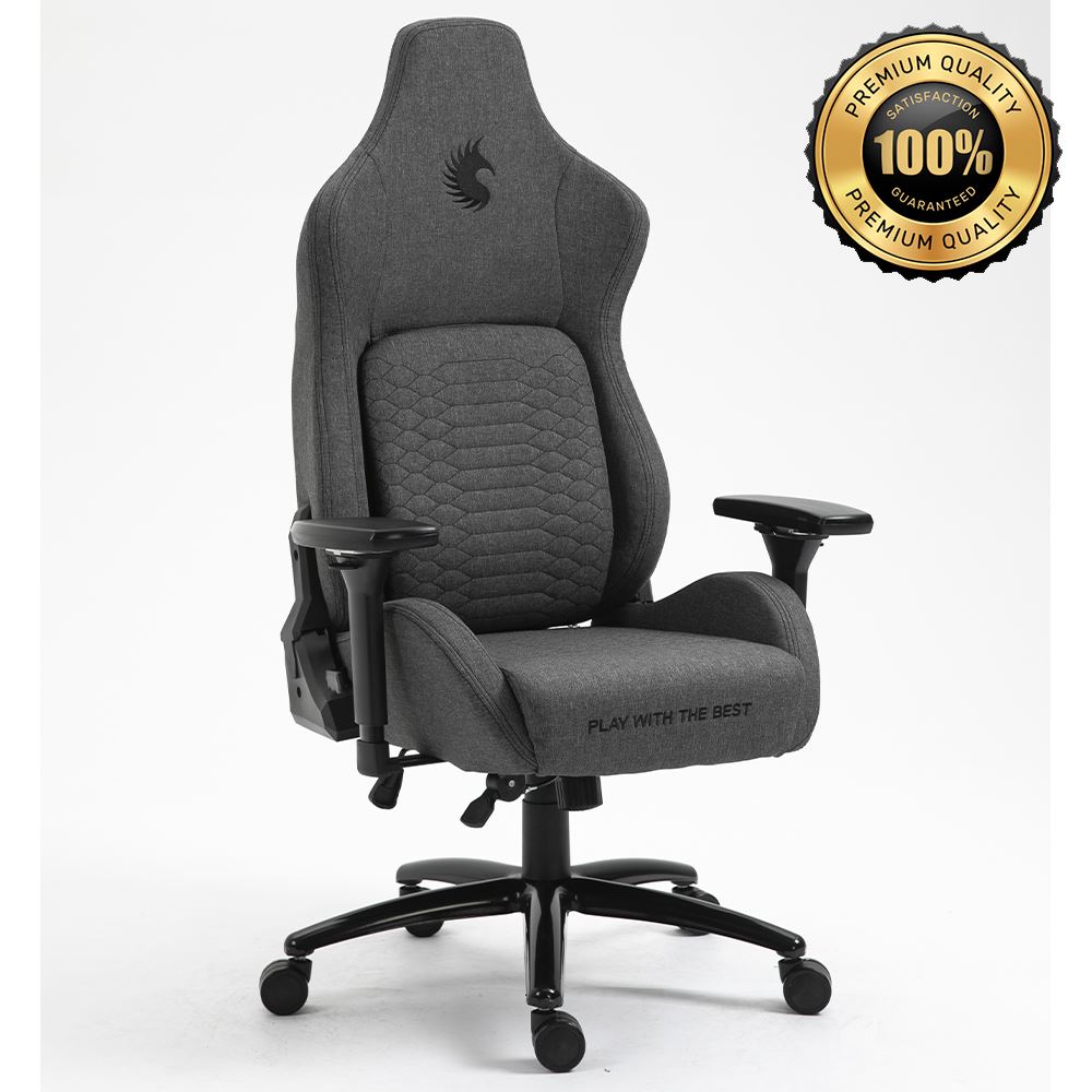 Silla Gamer Dreizt Titan Gris Premium Almohadilla Reclinable Gas Lift Clase 4