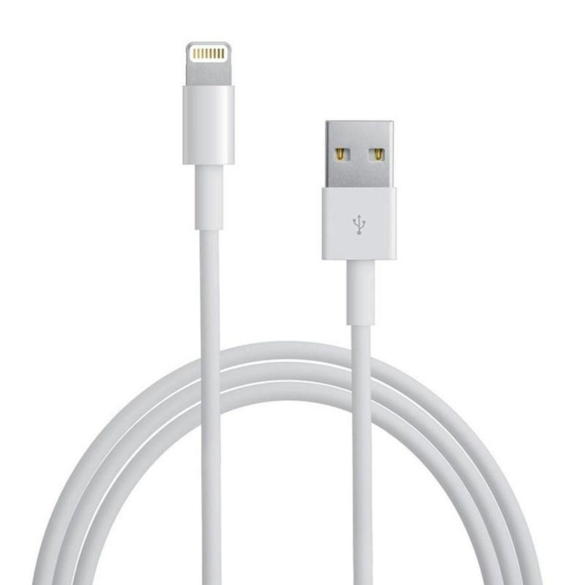 Apple - Cable de Carga USB-A to Lightning MXLY2ZA/A (1 Metro)