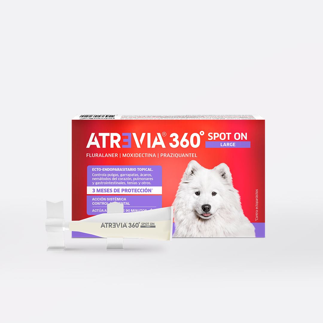 ANTIPULGAS Y ANTIPARASITARIO PARA PERROS ATREVIA® 360 SPOT ON LARGE- CJA 1 PIPETA (18 – 37KG)