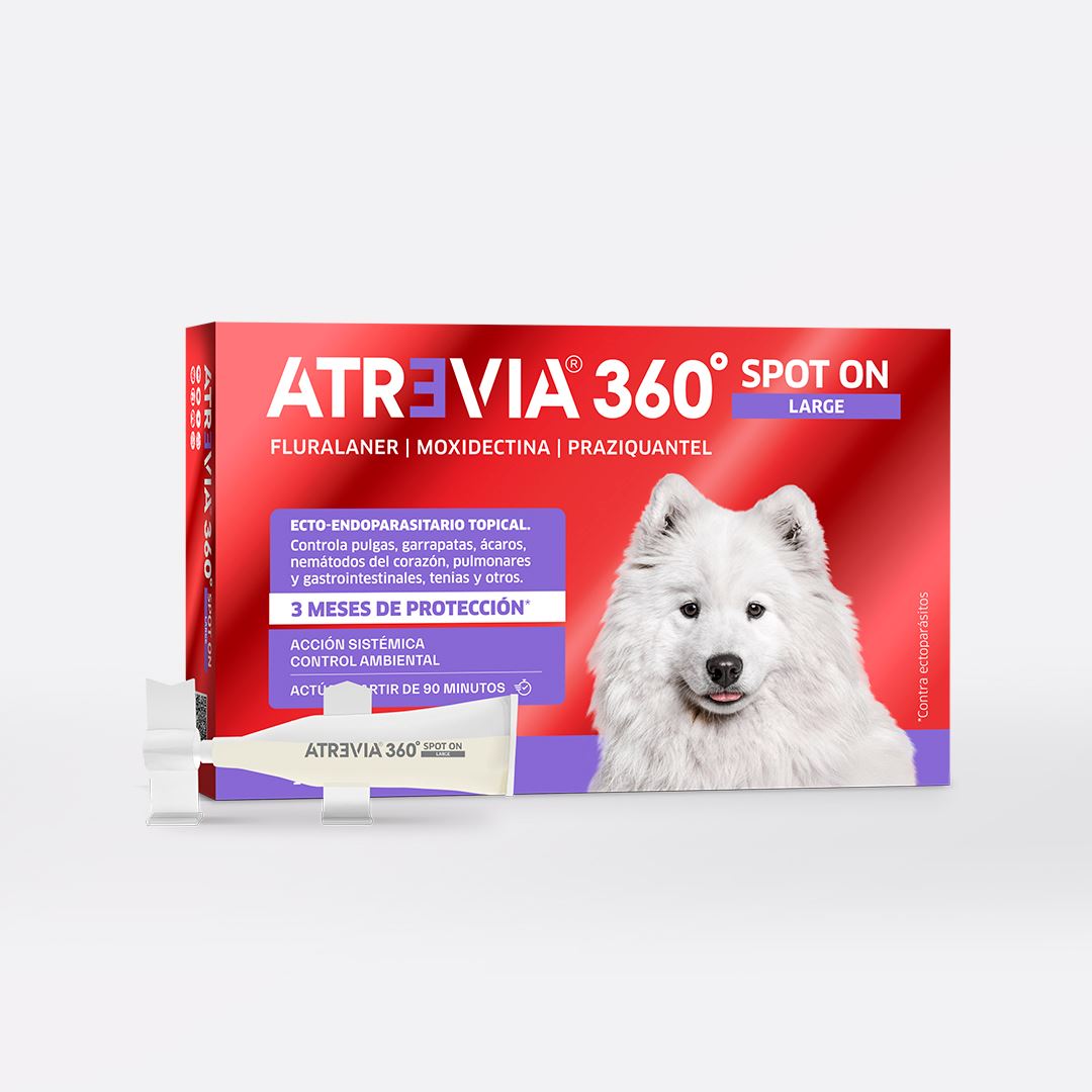 ANTIPULGAS Y ANTIPARASITARIO PARA PERROS ATREVIA® 360 SPOT ON LARGE- CJA 5 PIPETAS (18 – 37KG)
