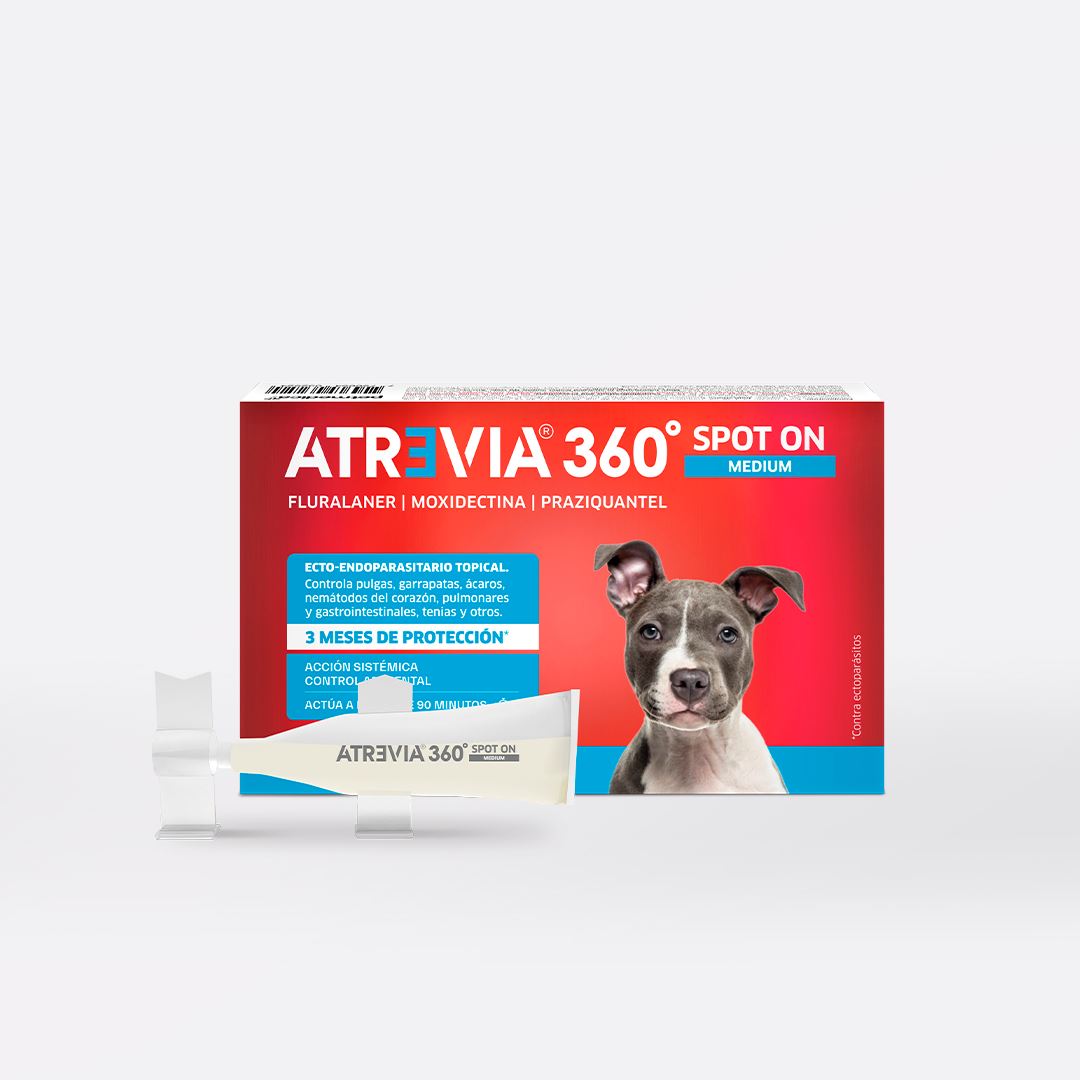ANTIPULGAS Y ANTIPARASITARIO PARA PERROS ATREVIA® 360 SPOT ON MEDIUM- CJA 1 PIPETA (9 – 18KG)