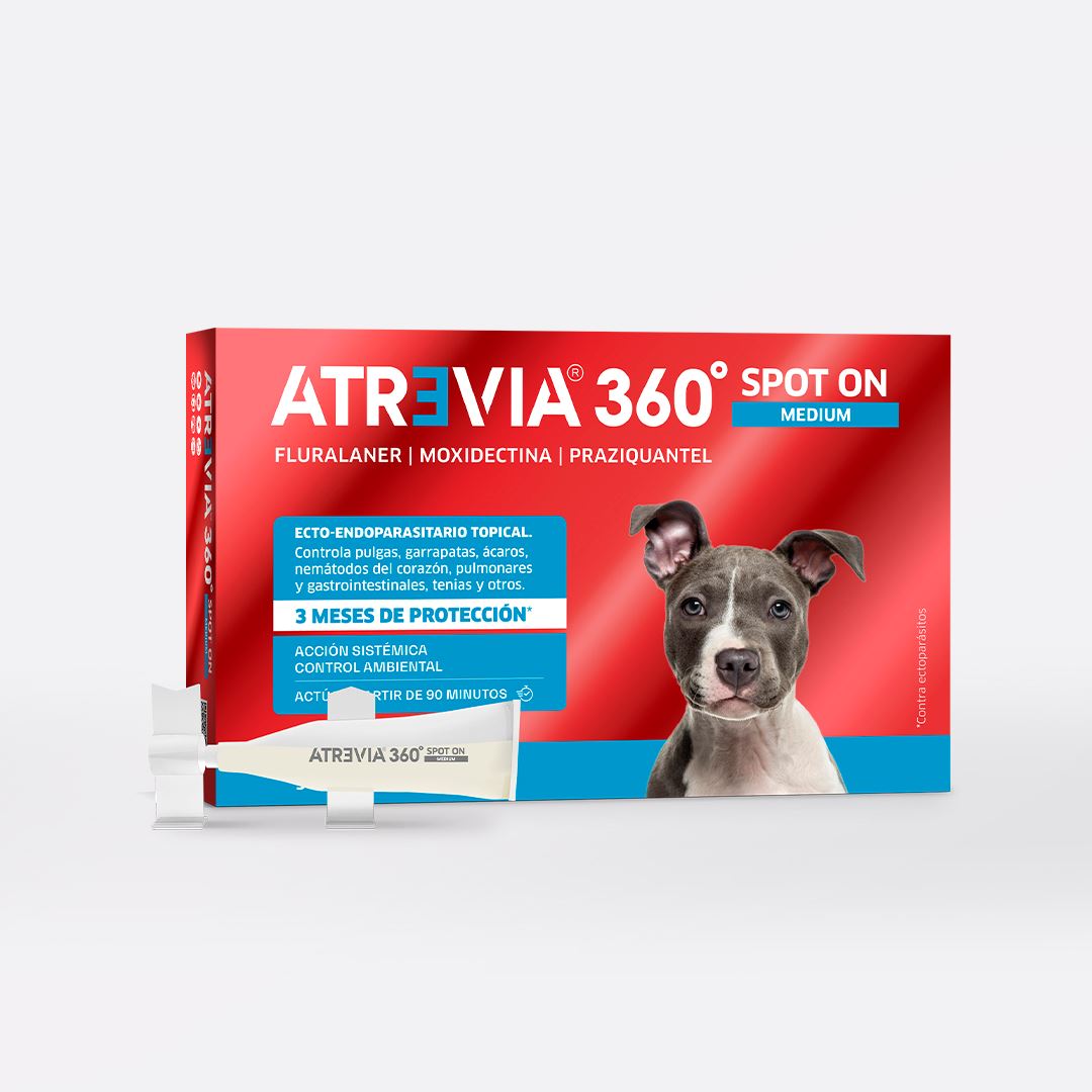 ANTIPULGAS Y ANTIPARASITARIO PARA PERROS ATREVIA® 360 SPOT ON MEDIUM- CJA 5 PIPETAS (9 – 18KG)