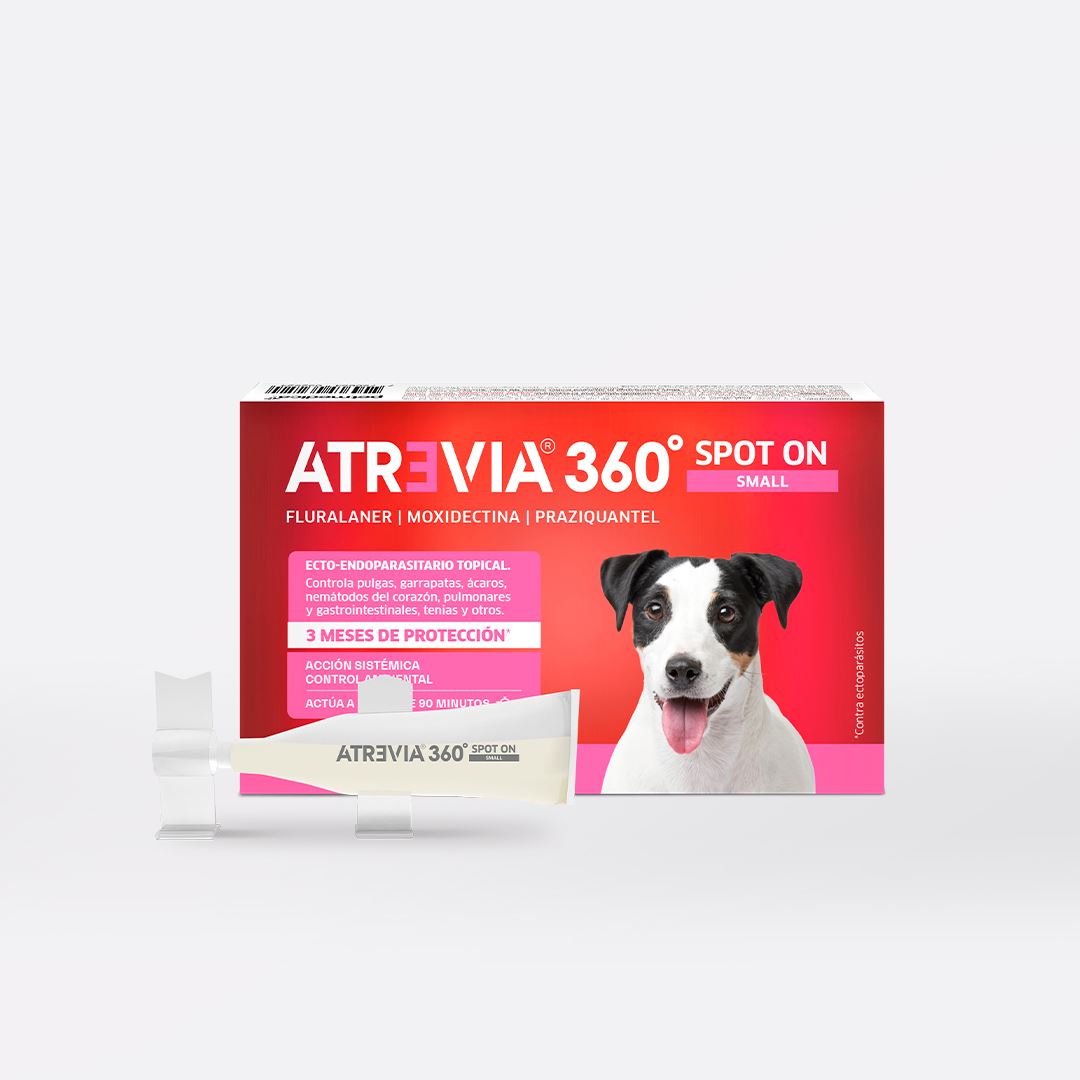 ANTIPULGAS Y ANTIPARASITARIO PARA PERROS ATREVIA® 360 SPOT ON SMALL- CJA 1 PIPETA (4.5 – 9KG)