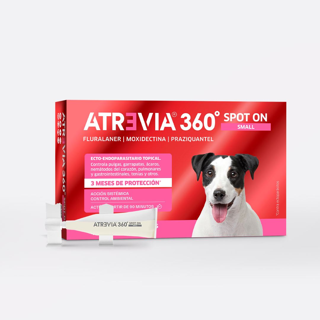 ANTIPULGAS Y ANTIPARASITARIO PARA PERROS ATREVIA® 360 SPOT ON SMALL- CJA 5 PIPETAS (4.5 – 9KG)