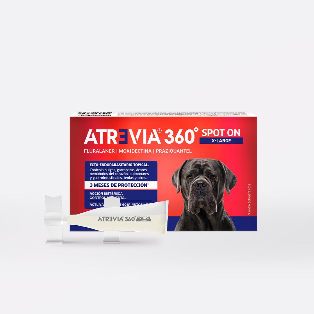 ANTIPULGAS Y ANTIPARASITARIO PARA PERROS ATREVIA® 360 SPOT ON X-LARGE- CJA 1 PIPETA (37 – 55KG)