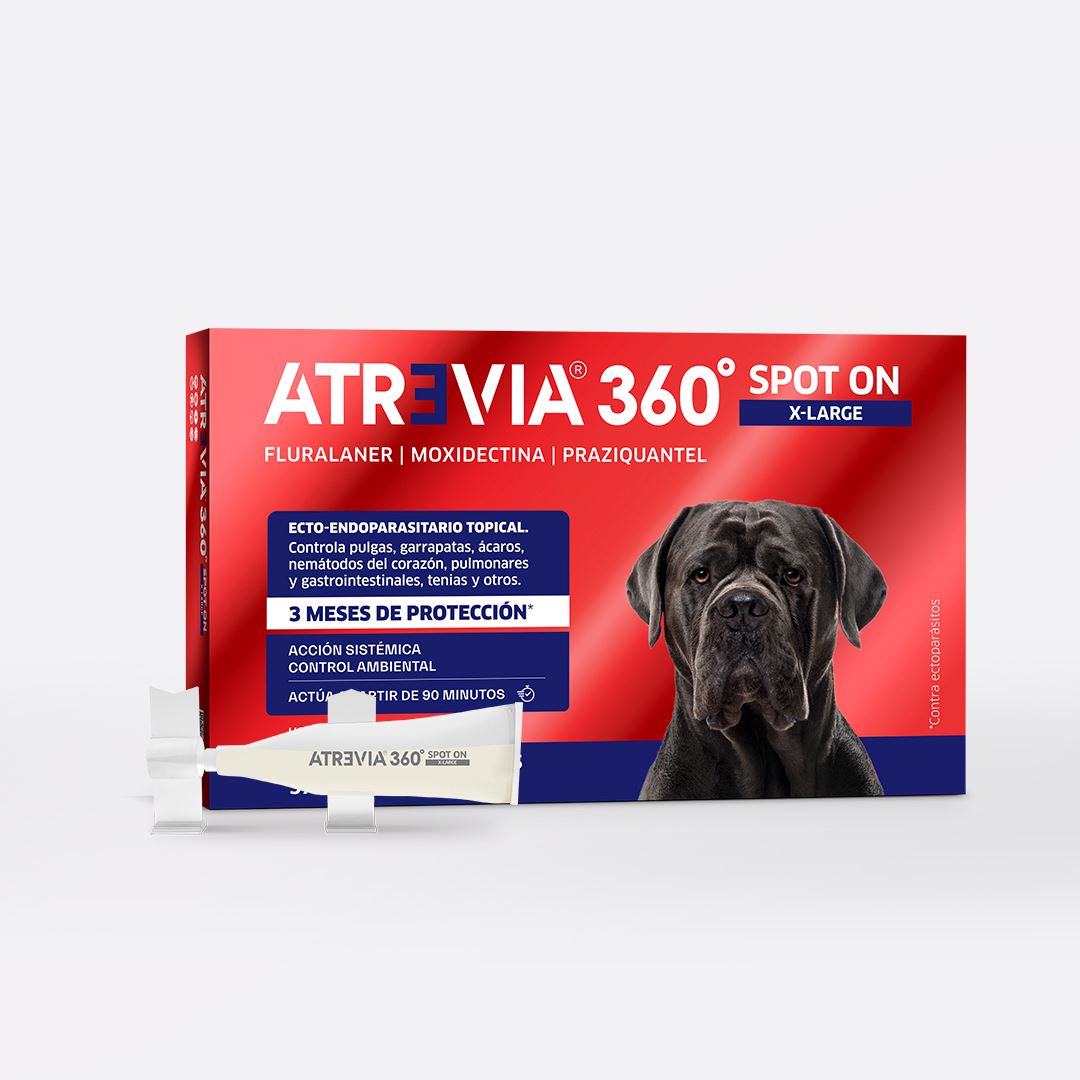 ANTIPULGAS Y ANTIPARASITARIO PARA PERROS ATREVIA® 360 SPOT ON X-LARGE- CJA 5 PIPETAS (37 – 55KG)