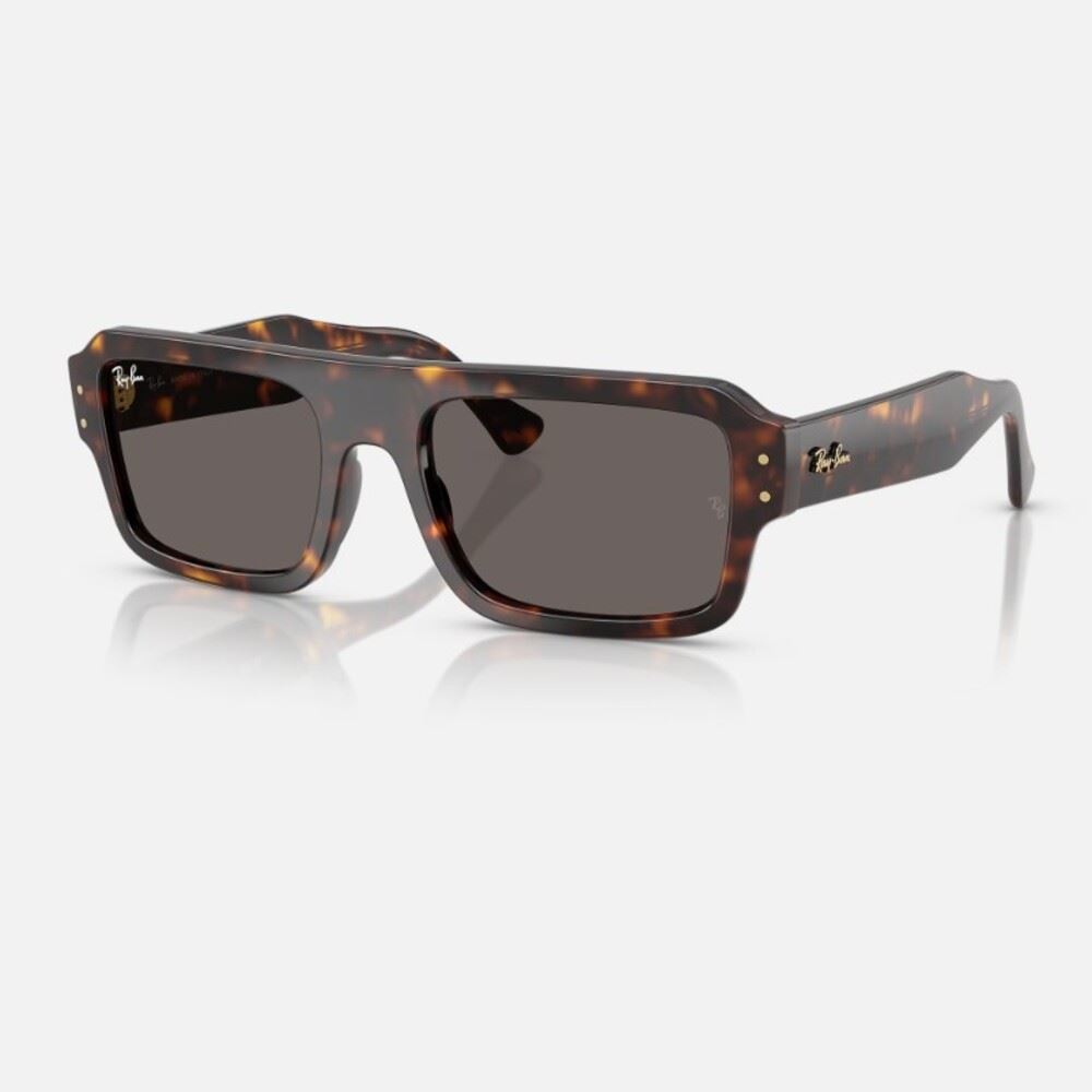 Ray ban RB4454 lukas marron 53-20 lentes