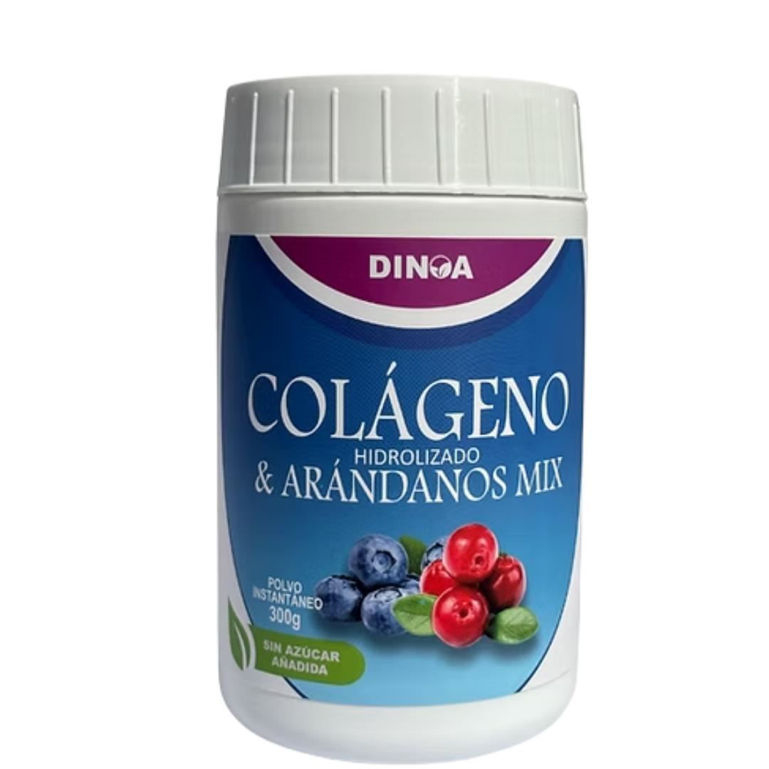 Colágeno Hidrolizado con Arándanos Mix Pote 300g