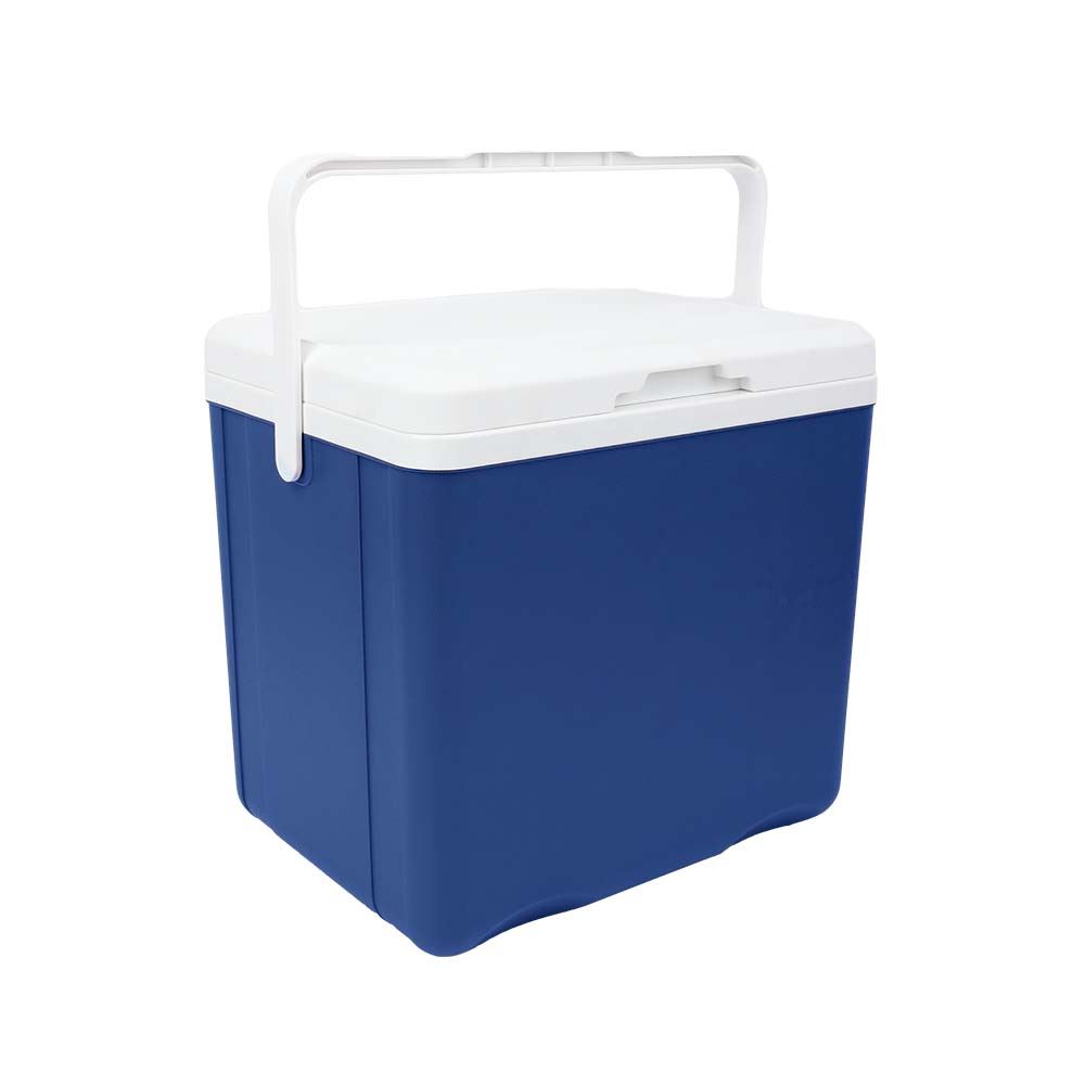 Cooler Merci Hogar Pinguino 18 LT Azul