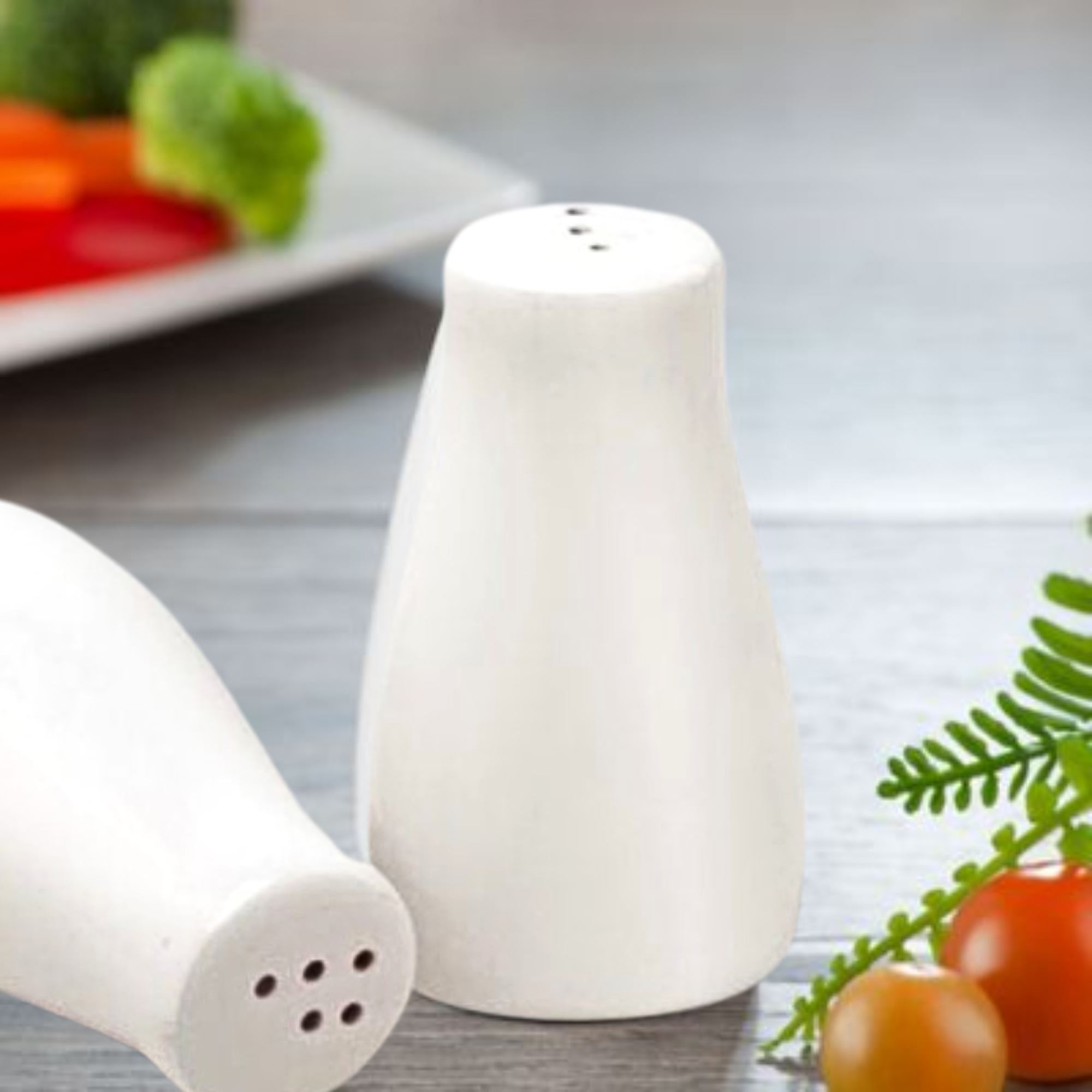 Set Salero Especiero Porcelana Blanca Vidriada